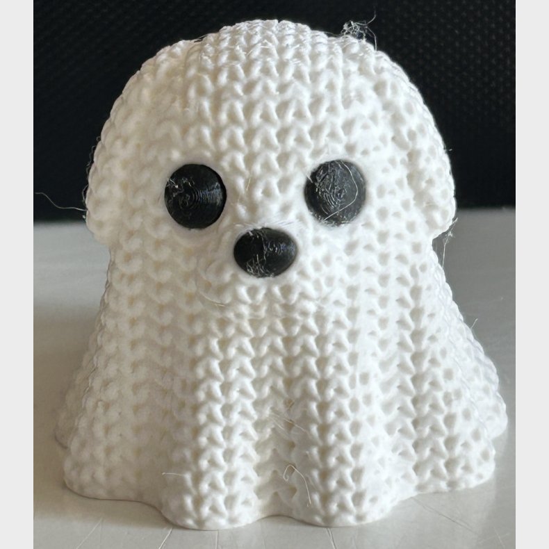 👻🐶 Sp�gelseshunden